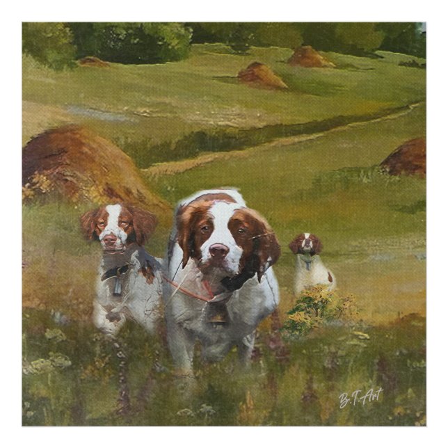 Brittany Spaniel  Photo Print (Front)