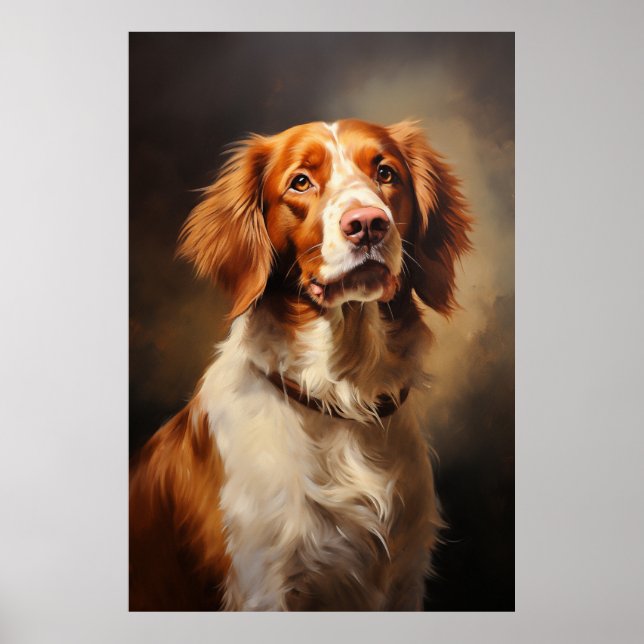 Brittany Spaniel  Poster (Front)