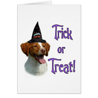 Brittany Spaniel Trick