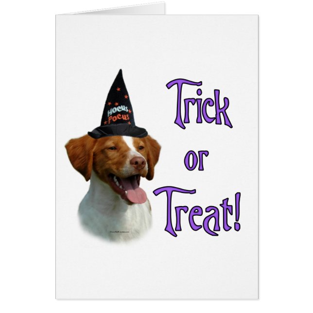 Brittany Spaniel Trick (Front)