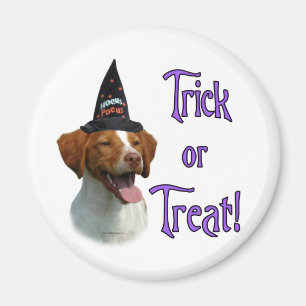 Brittany Spaniel Trick Magnet