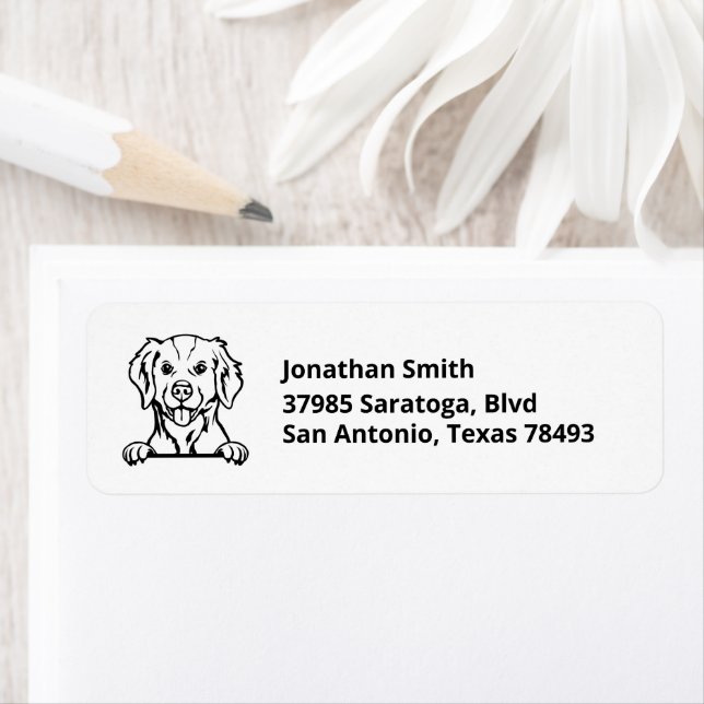 BRITTANY SPANIEL with Image on Return Address (Insitu)