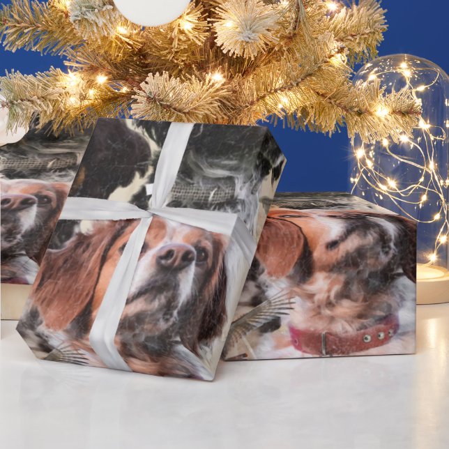 Brittany Spaniel Wrapping Paper (Holidays)