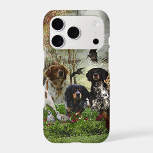 Brittany Spaniels, Bird Hunting