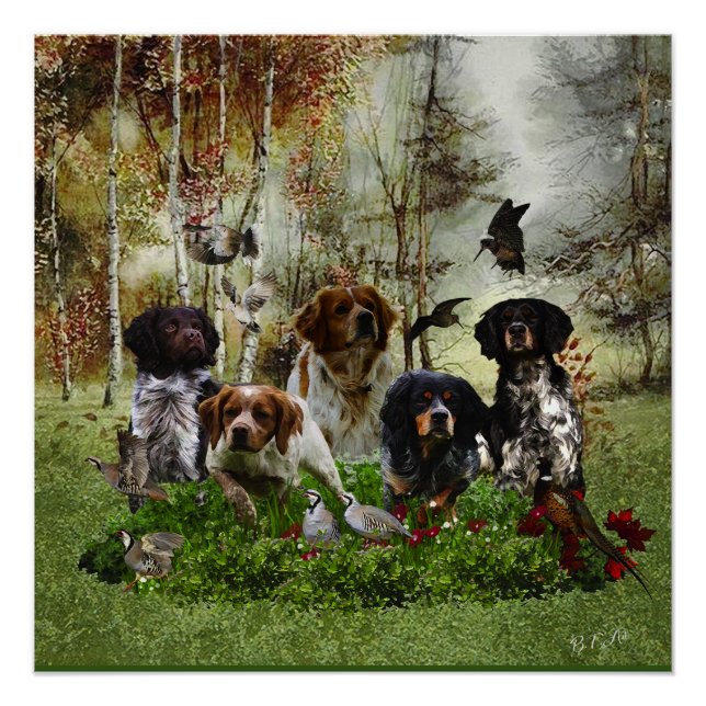  Brittany Spaniels,   Bird Hunting  Poster (Front)