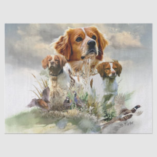 Brittany Spaniels , French Brittany , Bird dog Tissue Paper
