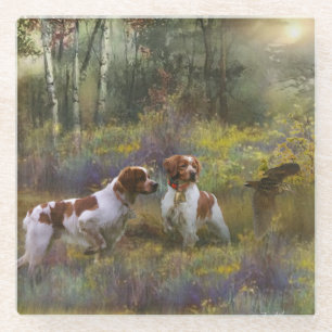Brittany Spaniels, Woodcock Hunting , Art Glass Coaster