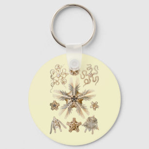 Brittle stars key ring