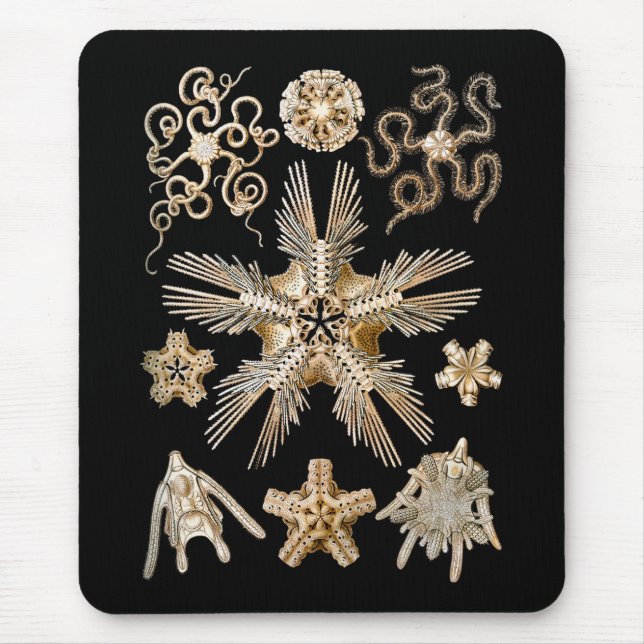 Brittle stars mouse pad (Front)