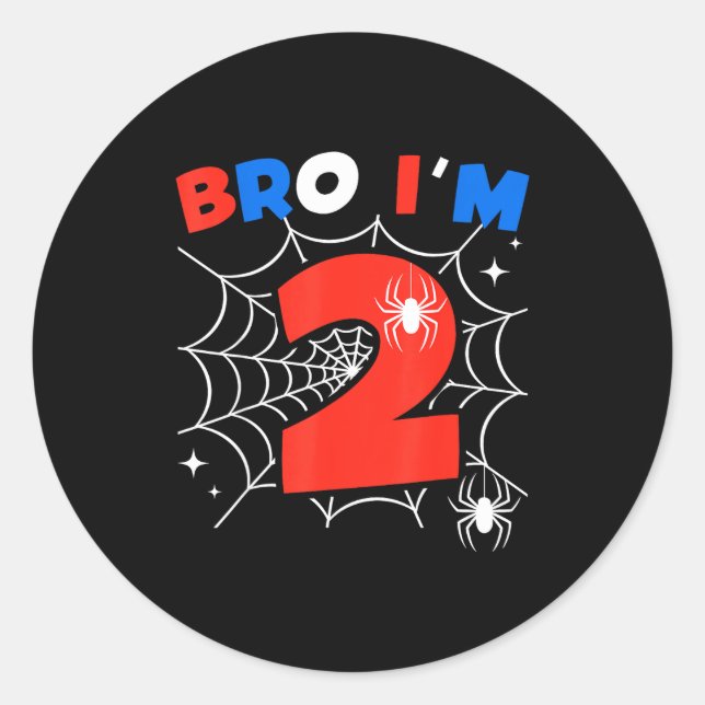 Bro I'm 2 Sder Web Theme 2nd Birthday Party Two Ye Classic Round Sticker (Front)
