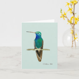 Broad-billed Hummingbird  Card