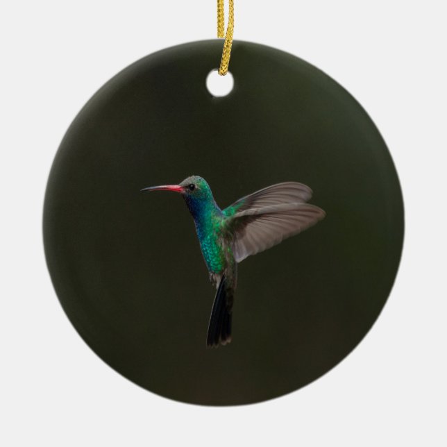 Broad-billed hummingbird in flight  ceramic tree decoration (Front)