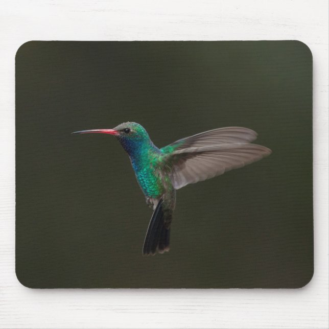 Broad-billed hummingbird in flight mouse pad (Front)