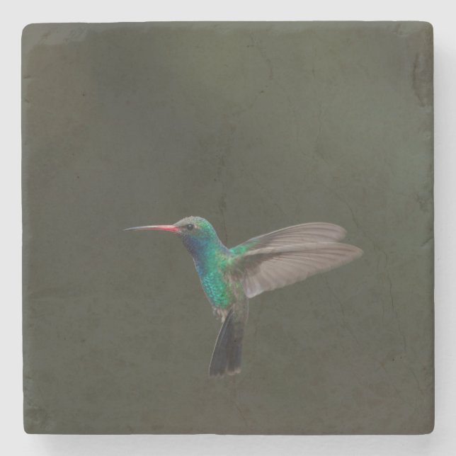Broad-billed hummingbird in flight stone coaster (Front)