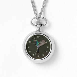 Broad-Billed Hummingbird in flight Watch