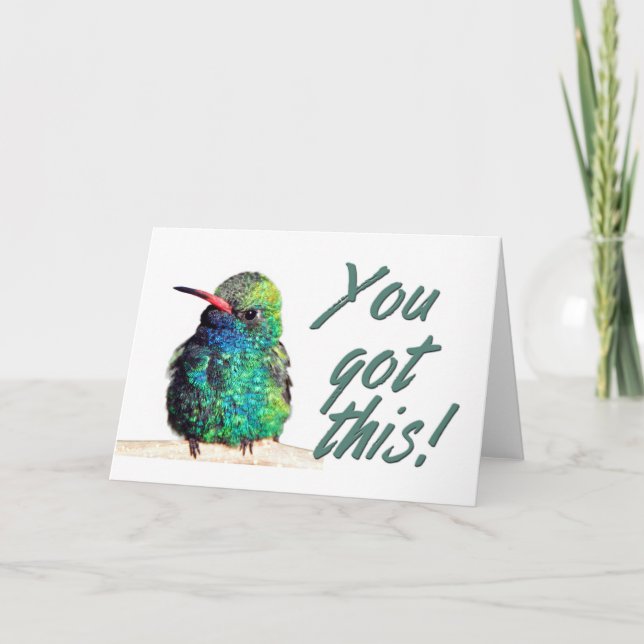 Broad-billed Hummingbird Photo You Got This Card (Front)
