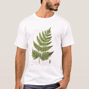 Broad Prickly-toothed Buckler Fern, painted at Bra T-Shirt