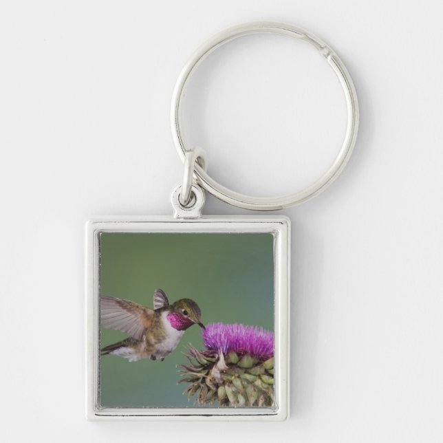 Broad-tailed Hummingbird, Selasphorus Key Ring (Front)