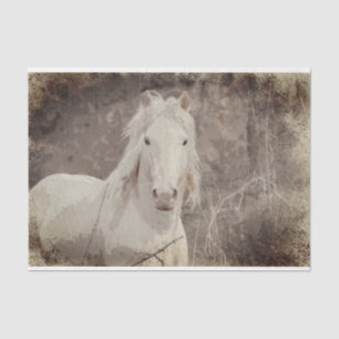 Broadfoot Stallion 18 ob. Tissue Decoupage Paper