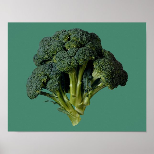 Broccoli 14" x 11", Value Poster Paper (Matte) (Front)