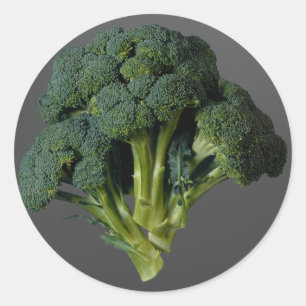 Broccoli Classic Round Sticker
