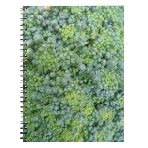 Broccoli Macro Notebook