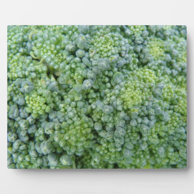 Broccoli Macro Plaque (Front)