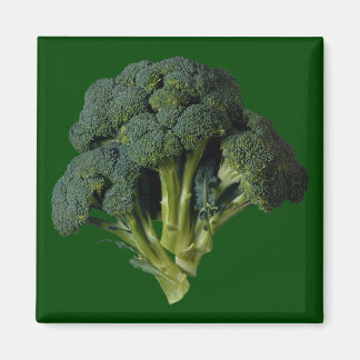 Broccoli Magnet
