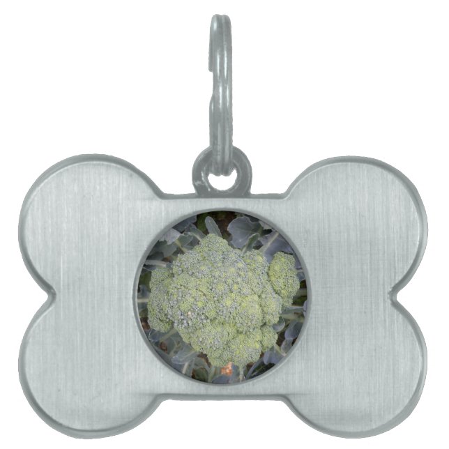 Broccoli Pet Tag (Front)