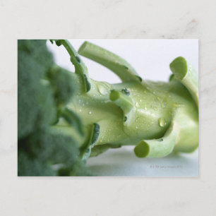 Broccoli Postcard