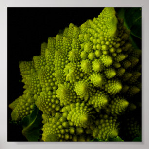 Broccoli Poster