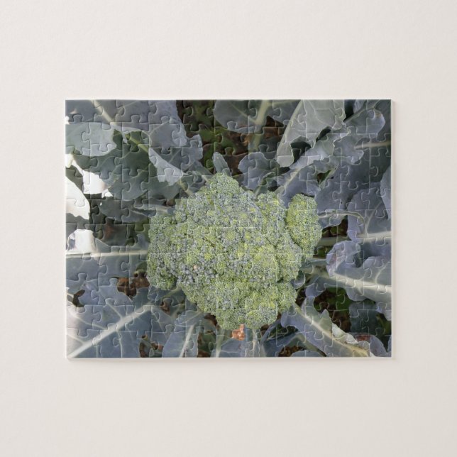 Broccoli Puzzle (Horizontal)