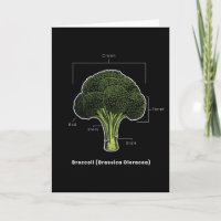 Broccoli Vegan Vegan Vegetables