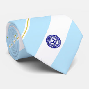Brockton (Massachusetts) city flag Neck Tie