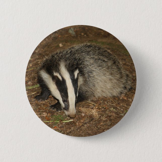 Brockwatch badger badge (Front)