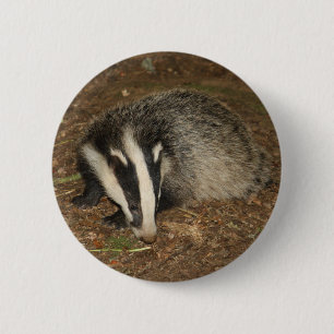 Brockwatch badger badge