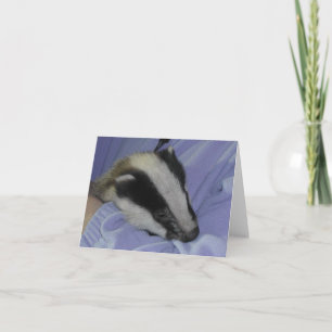 Brockwatch badger greetings card