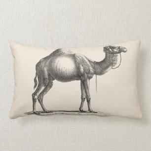 Brodtmann Dromedary Camel Sketch Lumbar Cushion