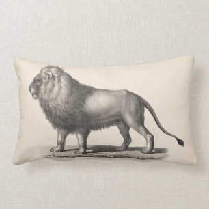 Brodtmann Lion Sketch Lumbar Cushion