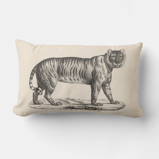 Brodtmann Tiger Sketch Lumbar Cushion (Front)