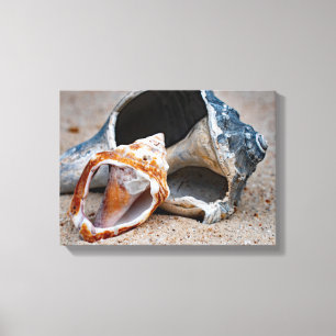 Broken Beach Beauties #2 Canvas Print