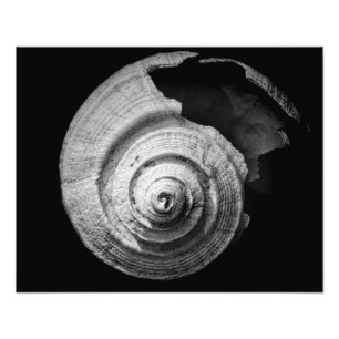 Broken Helix Photo Print