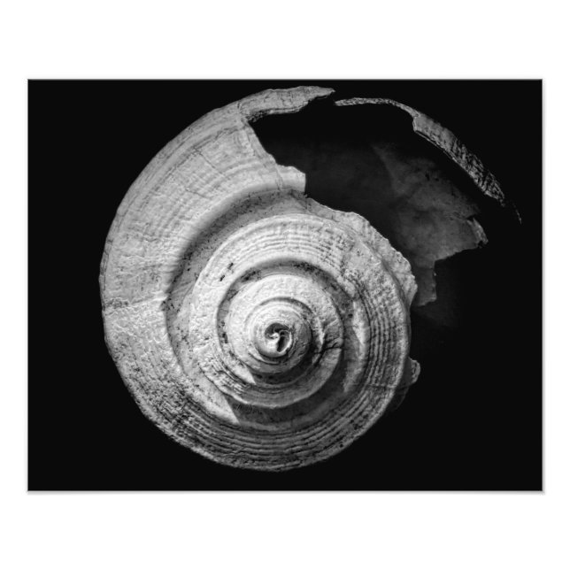 Broken Helix Photo Print (Front)