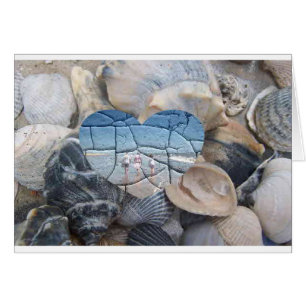 Broken Shells