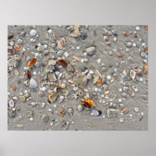 Broken Shells on Cape San Blas, Florida Poster
