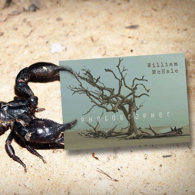 Broken Tree Driftwood Double-sided Modern Business Card (Creator Uploaded)