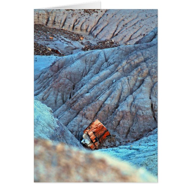 "Broken Wood in Blue Canyon" collection (Front)