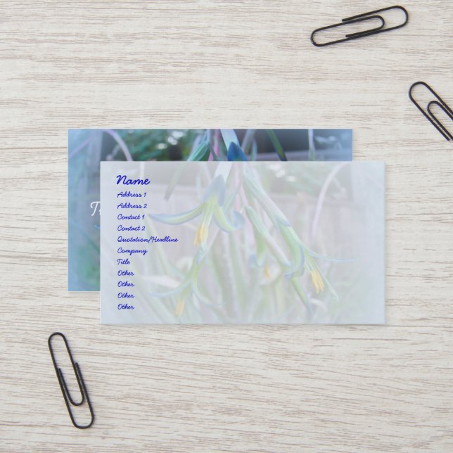 Bromeliad Blossoms on Blue Business Card (Front/Back In Situ)
