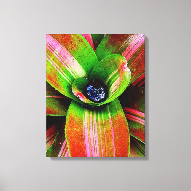 Bromeliad Canvas Print (Front)