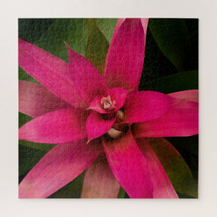 Bromeliad in Bloom Jigsaw Puzzle